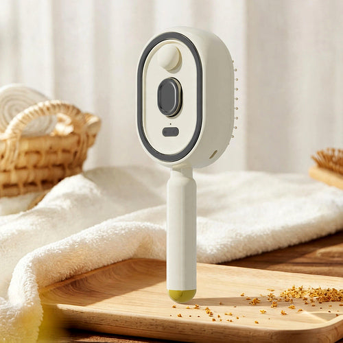 Steam Brush | Rechargeable Detangling Tool with Oil